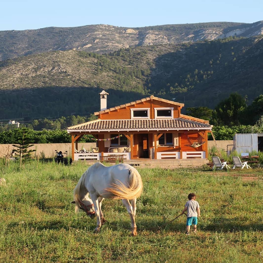 La casa de madera y el caballo blanco