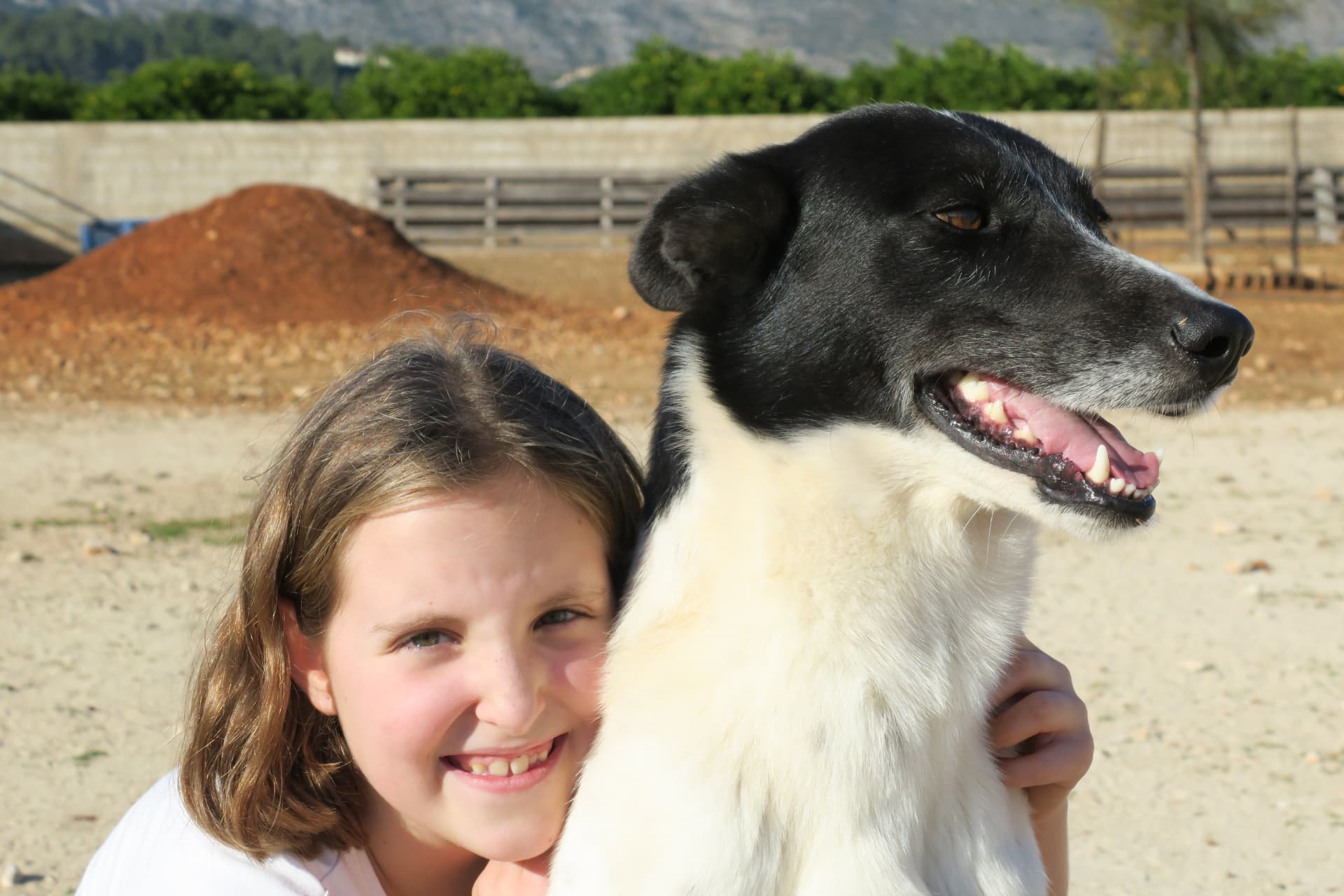 Abrazo al perro del rancho