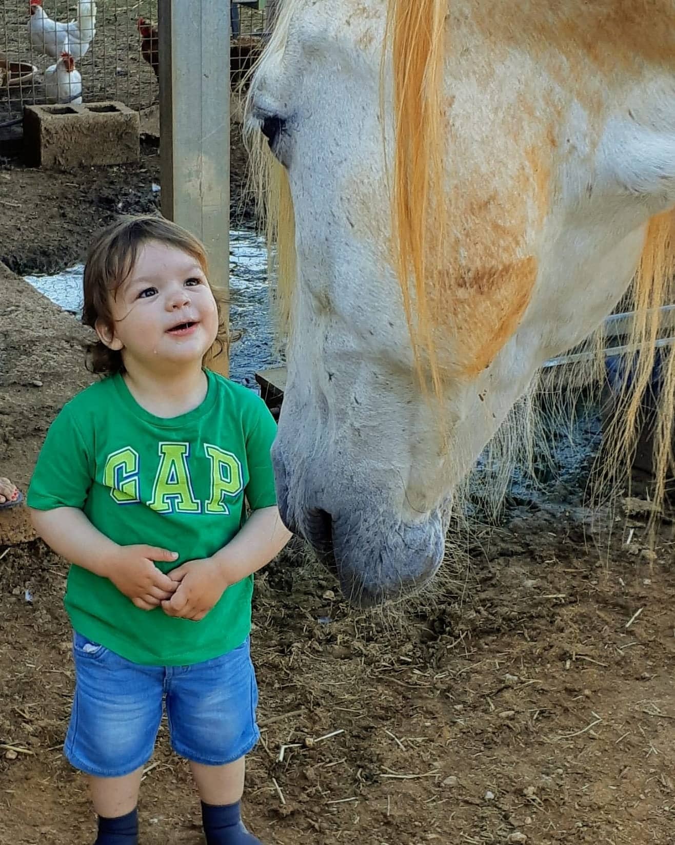 Frente a frente con el caballo blanco