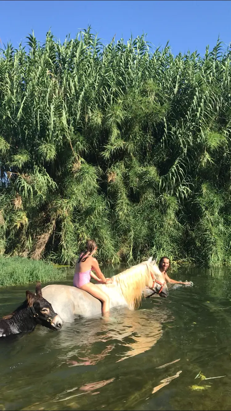Baño en el río con el caballo y el burro