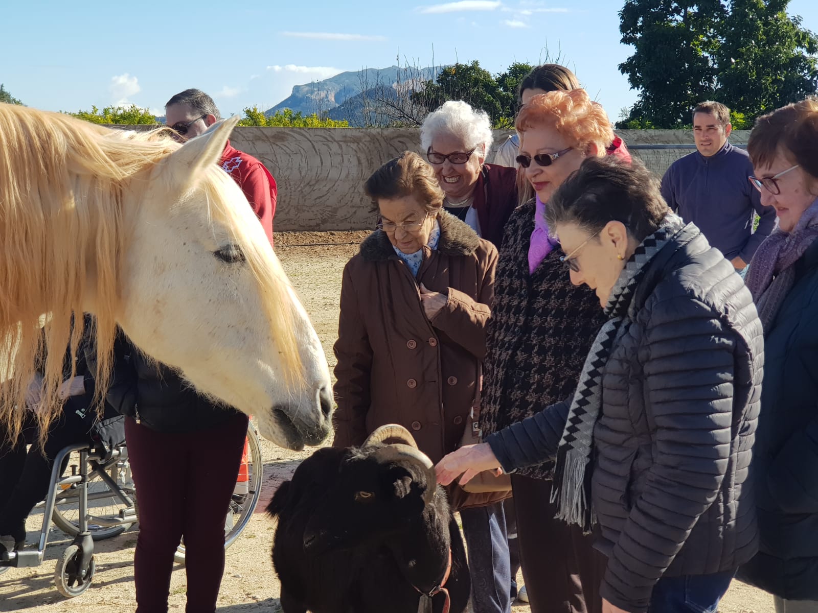 Visita de mayores acariciando a la cabra