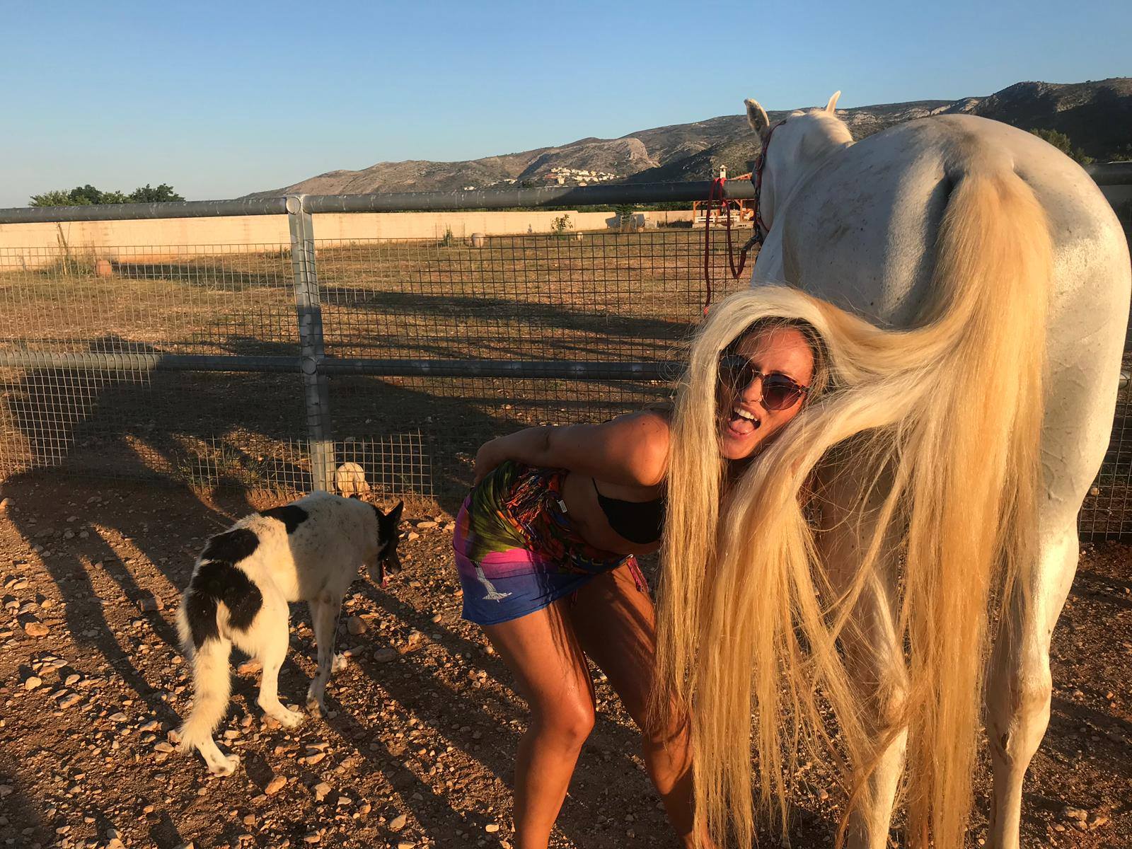 Entre la crin del caballo y el perro